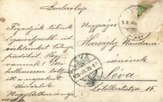 1908 Vihnyefürdő, Vyhnye; Helmbacher villa / villa, photo (Rb)