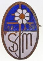 1920. S M 1920 zománcozott fém jelvény, valószínűleg egy iskola címerével (24x37mm) T:2- zománchiba
