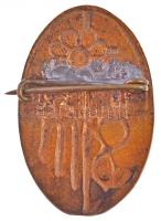 1920. "S M 1920" zománcozott fém jelvény, valószínűleg egy iskola címerével (24x37mm) T:2-...