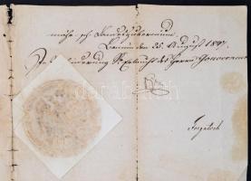 1847 Übersiedlungs Urkunde (áttelepítési okirat) Budára településhez, német és latin nyelven, felzet...