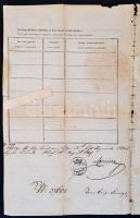 1847 Übersiedlungs Urkunde (áttelepítési okirat) Budára településhez, német és latin nyelven, felzet...