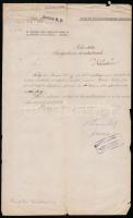 1874 Pest város főkapitányi hivatalából küldött értesítés, Thaisz Elek (1820-1892) Budapest első rendőrfőkapitánya aláírásával. Kissé szakadt, 38x23 cm