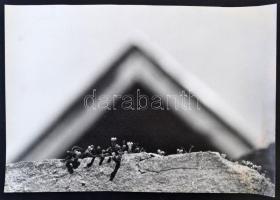 cca 1960-1970 Névtelen piramis, a hátoldalán feliratozott, művészfotó, 27x40 cm.