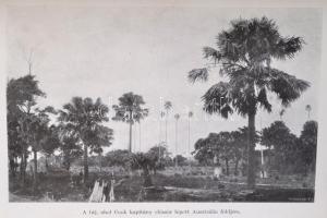 Gubányi Károly: Ausztrália. 116 képmelléklettel és 12 térképpel. Magyar Földrajzi Társaság Könyvtára...