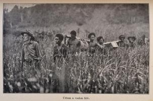 Merlin Moore Taylor: A kannibálok földjén. Barangolás Pápua szívében. 67 képmelléklettel és térképpe...