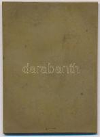 Berán Lajos (1882-1943) ~1940. "Magyar Si Szövetség" Br egyoldalas emlékplakett "LUDV...
