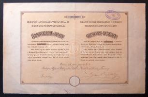1910. "Budapesti Rákospalotai Villamos Közuti Vasut Részvény-Társaság" élvezeti jegye 200K-ról