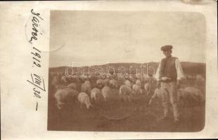 1912 Daróc, Sarisské Dravce; Juhnyáj. Szinyei Merse Zsigmondnak címezve / flock of sheep, addressed to Szinyei Merse Zsigmond, photo (EK)