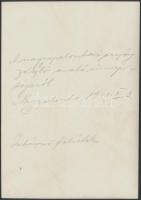 1940 Nagyszalonta, Országzászló avatási ünnepség, hátoldalán feliratozva, 17,5x12 cm / Salonta, Inau...