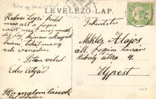 1908 Nagymácséd, Velká Maca; Malom társaság csoportképe / mill company group photo