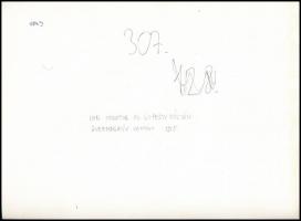 1915 SMS Inn monitor az újpesti sólyán, Dunai Flottilla, eredeti negatívról készült 1980-as évekbeli...