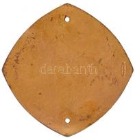 Németország DN "1. Nemzetközi Saar-vidék körutazás - 1958" zománcozott fém autójelvény (95...