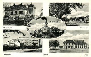 Szenc, Szempcz, Senec; Magnemesítő, Római katolikus templom, Rákóczi utca, Műmalom, Fő tér / seed breeder, church, street, mill, main square(EB)