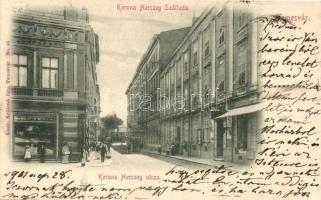 Temesvár, Timisoara; Korona Herceg utca és Szálloda, Wilhelm Mühle üzlete / hotel and street, shops