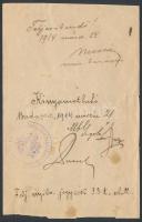 1914 Horvát nyelvű kitöltetlen fegyvertartási engedély, kissé szakadt, 11x17 cm / Croatian gun licen...
