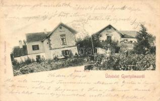 Gyertyámos, Carpinis; Anna villa, Urania kiadása / villa (EK)