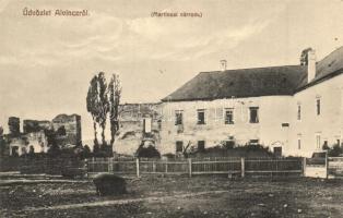 Alvinc, Vintu de Jos; Martinuzzi vár romjai, disznó, Joseph Krempels felvétele / castle ruins, pig (EK)