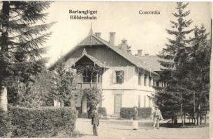 Tátra, Barlangliget, Concordia szálló, Fejes Bertalan borbély és fodrász üzlete / Höhlenhain, Concordia Villa and Hotel, hairdresser