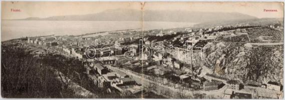 Fiume, gyárépületek. Divald Károly 1563. / factories, panoramacard (fl)