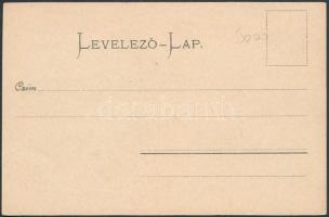 Szászsebes, Sebes, Mühlbach; Stadtpark, Verlag Josef Hientz / városliget, park / park, garden