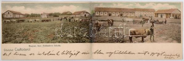 Csák, Csákova, Ciacova; Magyar királyi Földműves iskola telepe / farmer school, panoramacard (r)