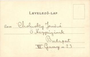 Budapest II. Hűvösvölgy, Lipótmező, Villamos közúti vasút részlet, Divald Károly 384. Cholnoky Jenő ...