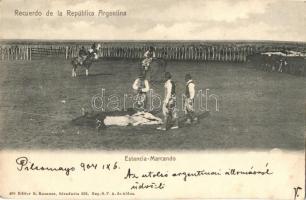 Recuerdo de la República Argentina, estancia-Marcando / Argentine folklore, cow branding (Rb)