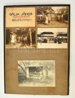 cca 1940-1950 Gálik János méhészete, Békéscsaba, 4 db fotó kartonra ragasztva (1 keményhátú fotó), feliratozva, 9x13 cm és 12x17 cm közötti méretben.