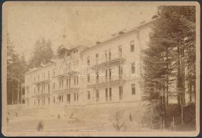 cca 1880 Bártfafürdő, Széchenyi-szálloda, keményhátú fotó Divald Károly műterméből, hátulján feliratozva, pecséttel jelzett, 11×16 cm
