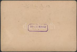 cca 1880 Bártfafürdő, Széchenyi-szálloda, keményhátú fotó Divald Károly műterméből, hátulján felirat...