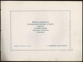 1914 Budapest Székesfőváros Gázművei. Budapest székesfőváros törvényhatósági bizottsága és tanácsa tagjainak az óbudai gázgyár ünnepélyes bemutatása alkalmából. 1914. Június 15-én. Bp., 1914, Hornyánszky Viktor, 59+4 p. Kiadói zsinórral füzött harántalakú papírkötés, számos fekete-fehér és szövegközti fotóval illusztrálva, megviselt állapotban, az elülső borító és a kihajtható melléklet hiányzik.