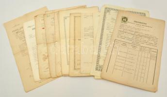 1873-1823 Vegyes okmány tétel, összesen 16 db: iskolai bizonyítvány, tanítói oklevél, óvónői áthelyezésről szóló államtitkári levél