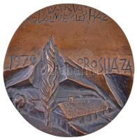 Rajki László (1939- ) 1979. "Darvas Irodalmi Emlékház - 1979 Orosháza" Br plakett (77mm) T...