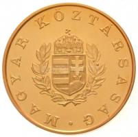 1989. "Temesvár 1514,1989 / Ne hagyd el Erdélyt, Erdélyt Istenem" aranyozott fém, piefort ...