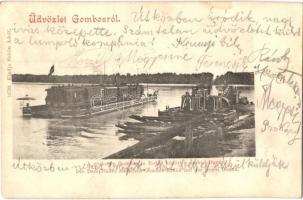 Gombos, Bogojeva; Gőzkomp Gombos és Erdőd között a szabad Dunán, kiadja Schön Adolf / steam ferry