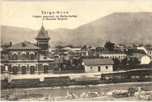 Targu Ocna, Aknavásár; Halta-Salina si Muntele Magura / railway station, mountain