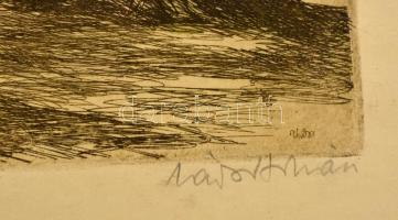 Zádor István (1882-1963): Balaton, színezett rézkarc, papír, jelzett, 33,5×24,5 cm