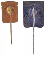 DN "Alba Regia" fém kitűző (18x23mm) + DN "Alba Regia" zománcozott fém kitűző (1...