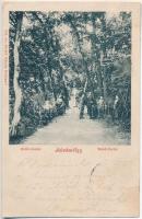 Budapest - 9 db RÉGI városképes lap / 9 pre-1945 townview postcards