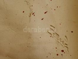 Olvashatatlan jelzéssel: Szentendre, mázas kerámia falikép, apró kopásnyomokkal, 18×27 cm