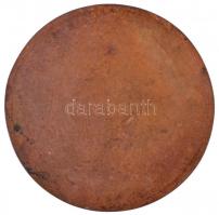 Rajki László (1939- ) 1990. 100Ft "Fáy András" Br hátlapi nagyminta (142mm) T:1
Hungary 1...