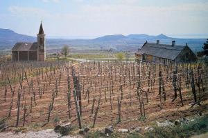 Szelényi Károly: Balaton. Bp., 1986, Terra-Kossuth Nyomda. Kiadói egészvászon-kötés, kiadói papír vé...