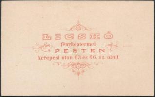 cca 1863 Licskó pesti műtermében készült, vizitkártya méretű fénykép, 10x6,5 cm