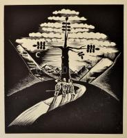 Székely népballadák. Összeállította és magyarázta: Ortutay Gyula. Buday György fametszeteivel. Bp., ...