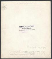 cca 1950 Portrék, csoportképek, eseményfotók vegyesen, 13 db vintage fotó Tiszavölgyi József fotórip...