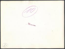 cca 1950 Portrék, csoportképek, eseményfotók vegyesen, 13 db vintage fotó Tiszavölgyi József fotórip...