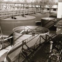 cca 1968  Állattartó csarnok építése, 13 db vintage negatív Sinka Antal (?-?) hagyatékából, aki a velencei AGROKOMPLEX fotósa volt az 1960-as, 1970-es években (ahol tervezték, kivitelezték ezeket a csarnokokat), 6x6 cm