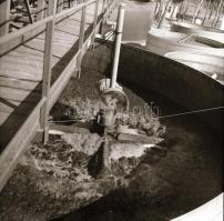 cca 1968  Állattartó csarnok építése, 13 db vintage negatív Sinka Antal (?-?) hagyatékából, aki a ve...