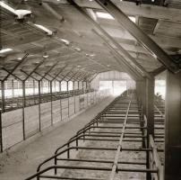 cca 1968  Állattartó csarnok építése, 13 db vintage negatív Sinka Antal (?-?) hagyatékából, aki a ve...