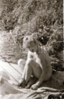 cca 1970 Piknik, 13 db vintage negatív, szolidan erotikus felvételek, 24x36 mm